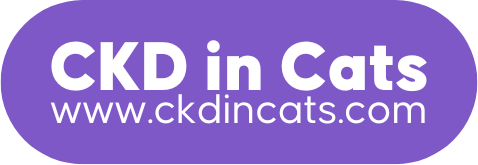 ckdincats logo